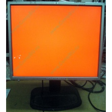 Монитор 19" TFT HP 1955 (DVI в Грозном, USB-хаб) "квадратный" (Грозный)