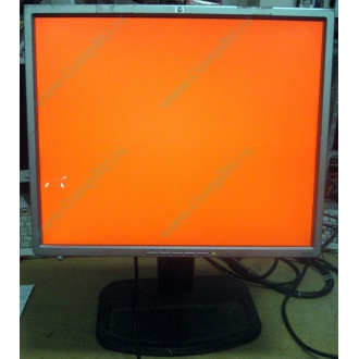 Монитор 19" TFT HP 1955 (DVI в Грозном, USB-хаб) "квадратный" (Грозный)