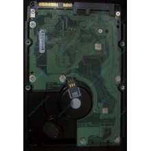 HP 454228-001 146Gb 15k SAS HDD (Грозный)