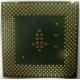 Процессор Intel Celeron 1000A SL5ZF (1000MHz /256kb /100MHz /1.475 V) s370 (Грозный)