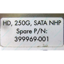 HP 250G 7.2k 432337-001/ 399699-001 / 397377-004 SATA HDD (Грозный)