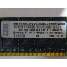 IBM 73P2871 73P2867 2Gb (2048Mb) DDR2 ECC Reg memory (Грозный)