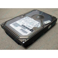Жесткий диск 18.2Gb IBM Ultrastar DDYS-T18350 Ultra3 80 pin SCSI (Грозный)