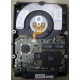 Жесткий диск 18.2Gb IBM Ultrastar DDYS-T18350 Ultra3 SCSI (Грозный)