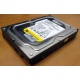 Жесткий диск 160Gb WD WD1602ABKS SATA (Грозный)