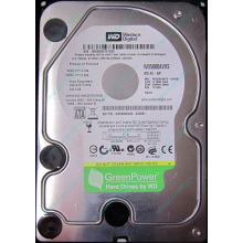 Б/У жёсткий диск 500Gb Western Digital WD5000AVVS (WD AV-GP 500 GB) 5400 rpm SATA (Грозный)