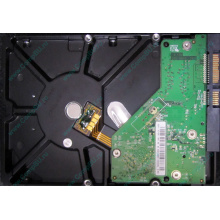 Б/У жёсткий диск 500Gb Western Digital WD5000AVVS (WD AV-GP 500 GB) 5400 rpm SATA (Грозный)