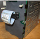 HP 365664-001 кабель SCSI для корзины 373108-001 / 359719-001 HP ML370G4 (Грозный)
