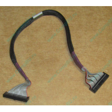 FDD-кабель HP 271946-006 для HP ML370 G3 G4 (Грозный)