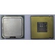 Процессор Intel Celeron D 336 (2.8GHz /256kb /533MHz) SL98W s.775 (Грозный)