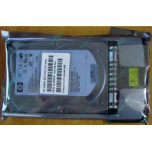 HDD 146.8Gb HP 360205-022 404708-001 404670-002 3R-A6404-AA 8D1468A4C5 ST3146707LC 10000 rpm Ultra320 Wide SCSI купить в Грозном, цена (Грозный)