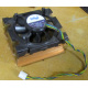Intel D34088-001 s603 / s604 (Грозный)