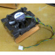 Intel C24751-002 (Грозный)