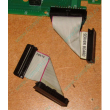 6017B0045701 Шлейф 24 pin для Intel C74974-401 T0043401-B01 корпуса SR2400 (Грозный)