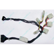 59P4789 FRU 59P4792 в Грозном, кабель IBM 59P4789 FRU 59P4792 для серверов X225 (Грозный)