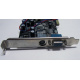 NV18-3710D 64Mb nVidia GeForce4 MX440 AGP 8x (Грозный)