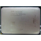 AMD Opteron 6128 OS6128WKT8EGO (Грозный)