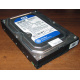 Жесткий диск 500Gb WD WD5000AAKX HP 634605-003 613208-001 7.2k SATA (Грозный)